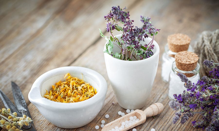 tierheilpraxis-hilke-kracke_homoeopathische-komplexmittel_main