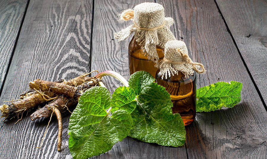 tierheilpraxis-hilke-kracke_phytotherapie_main